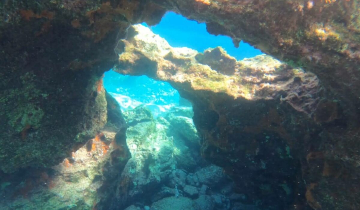 Unterwasserwelt ionisches Meer